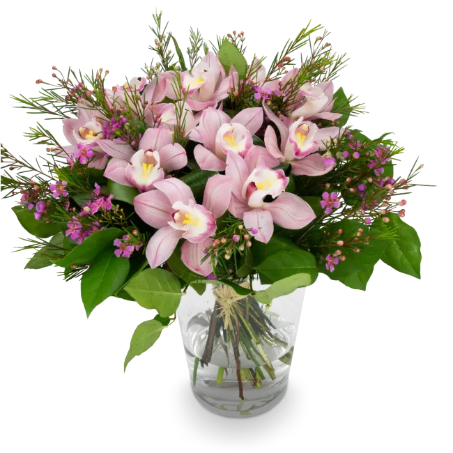 Bouquet of pink orchids